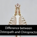 Difference between Osteopath and Chiropractor. Which one do you need?