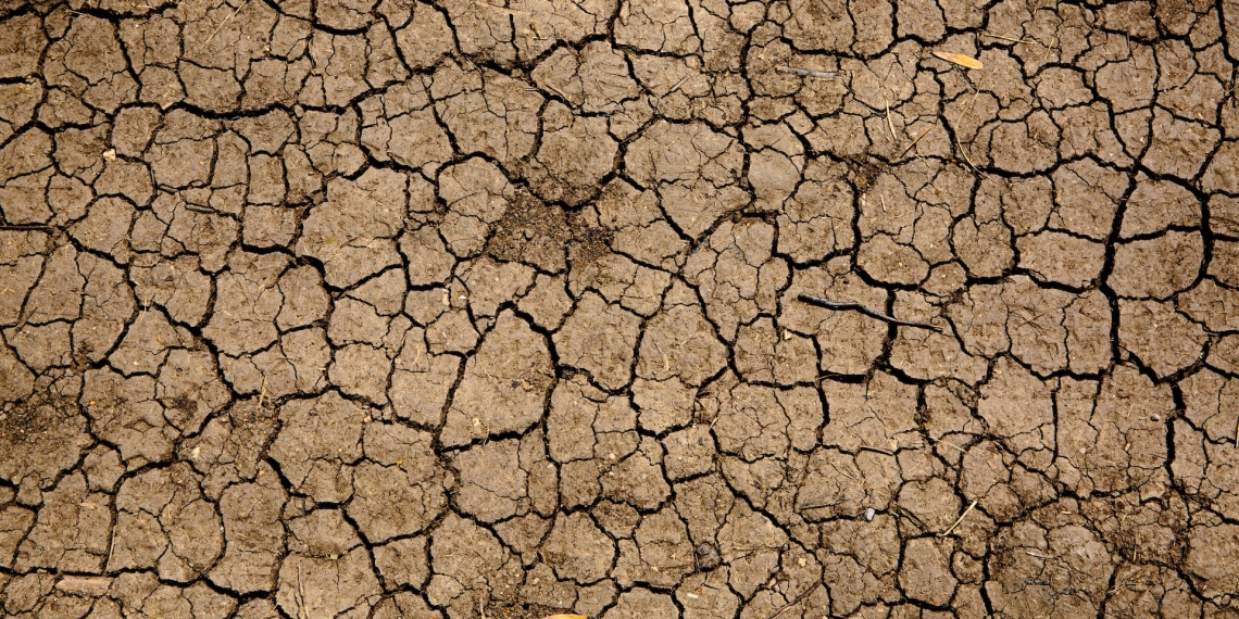barren land, drought