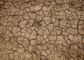 barren land, drought
