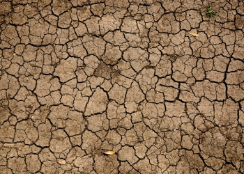barren land, drought