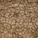 barren land, drought