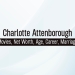 Charlotte Attenborough Biography
